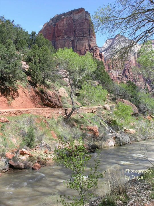 Angels Landing Trailhead