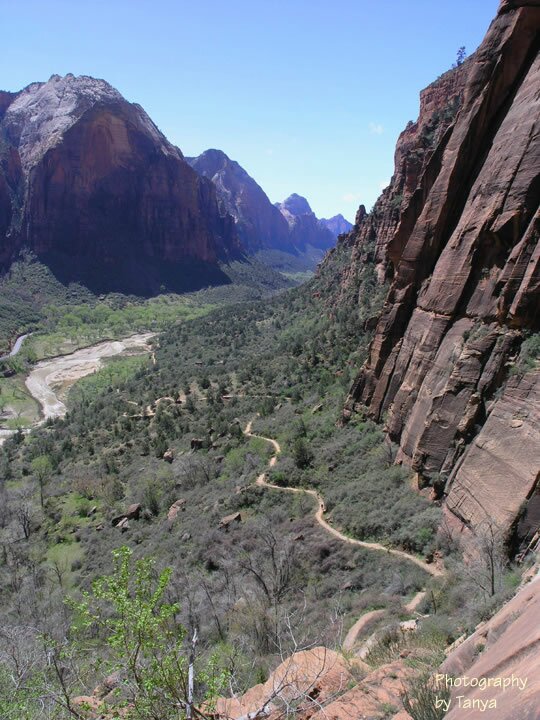 Angels Landing photo