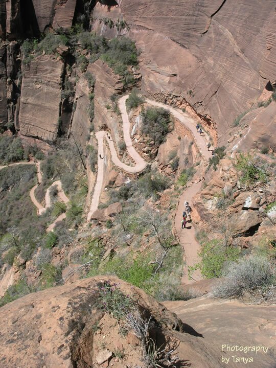 Angels Landing photo