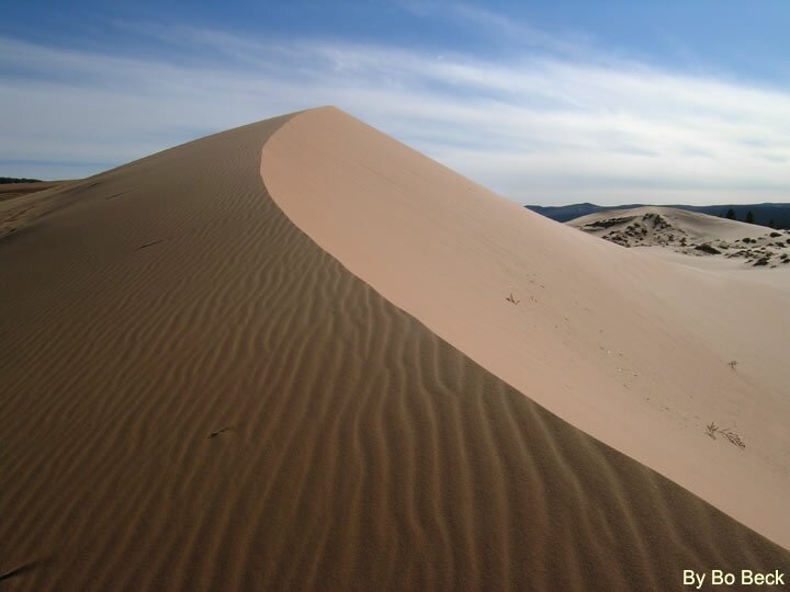 Coral Pink Sand Dunes Photo