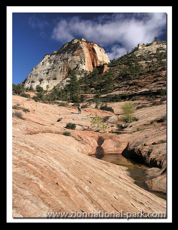 Zion Photo: Many Pools
