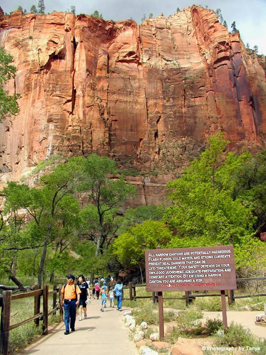Zion Photo: Riverside Walk
