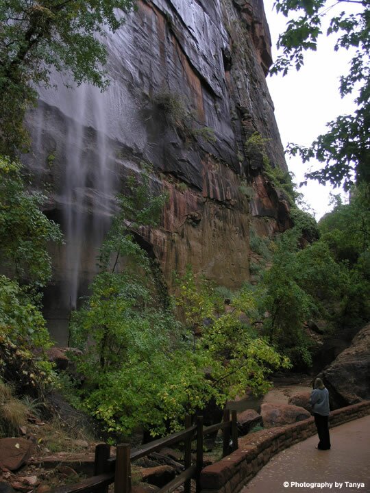 Zion Photo: Riverside Walk