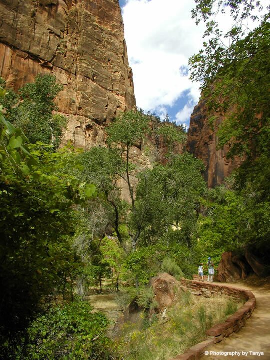 Zion Photo: Riverside Walk