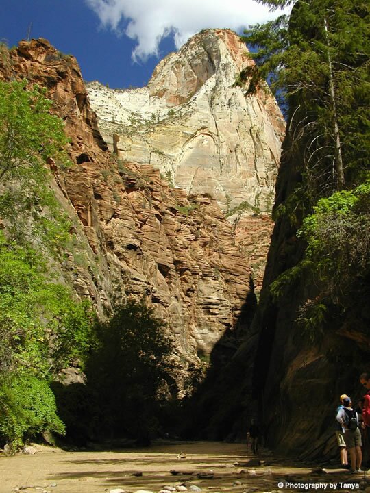 Zion Photo: Riverside Walk