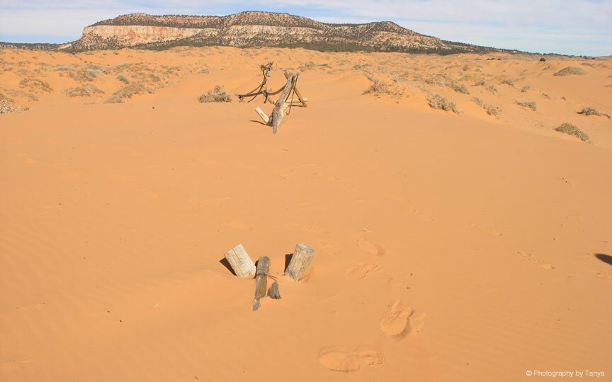 Sand Dunes photo