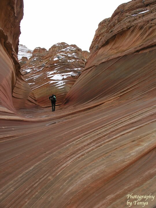 North Coyote Buttes - Wave Photo