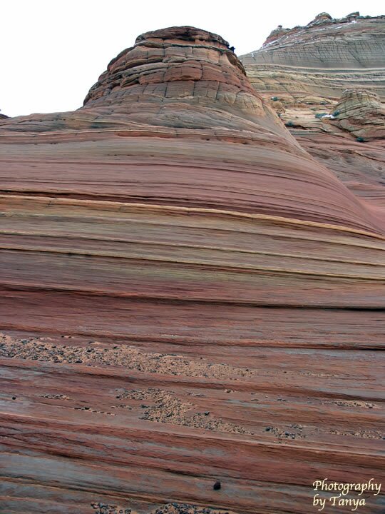 North Coyote Buttes - Wave Photo