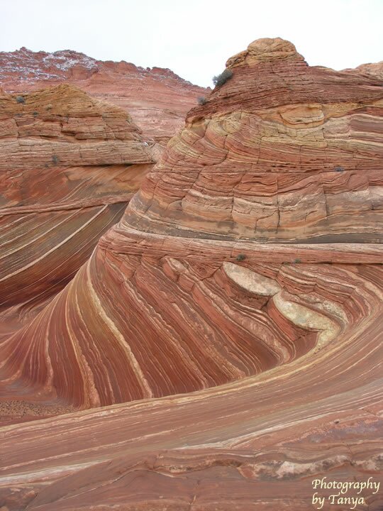 North Coyote Buttes - Wave Photo