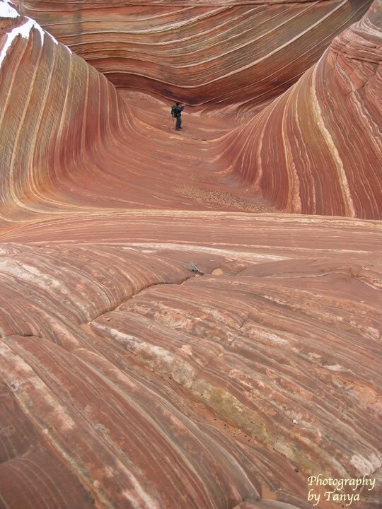 North Coyote Buttes - Wave Photo