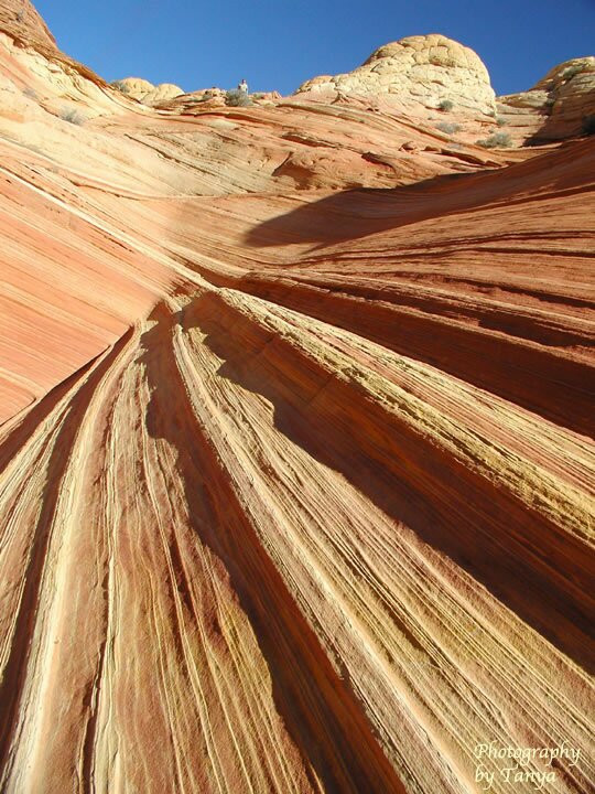North Coyote Buttes - Wave Photo