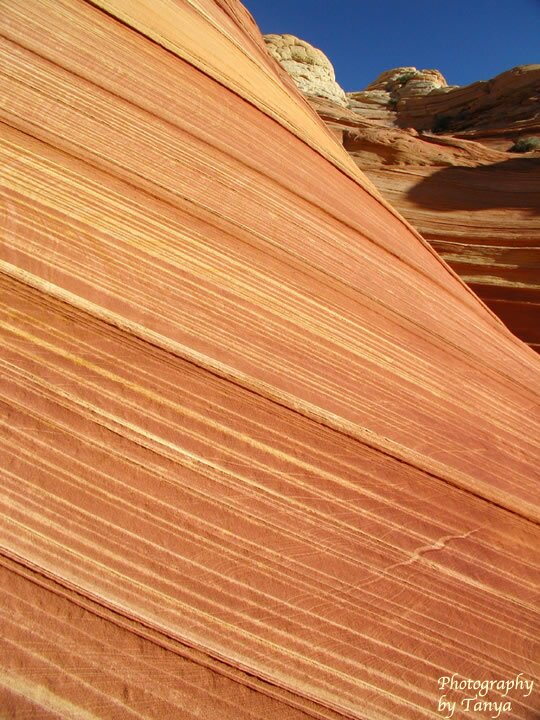 North Coyote Buttes - Wave Photo