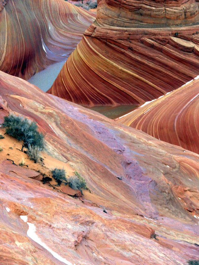 The Wave Photo