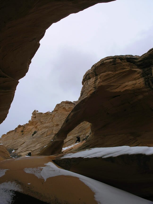 The Wave Photo