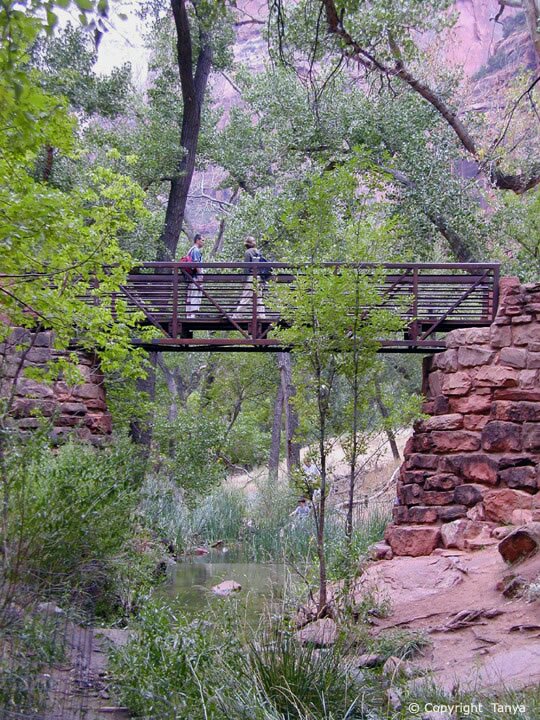 Weeping Rock photo