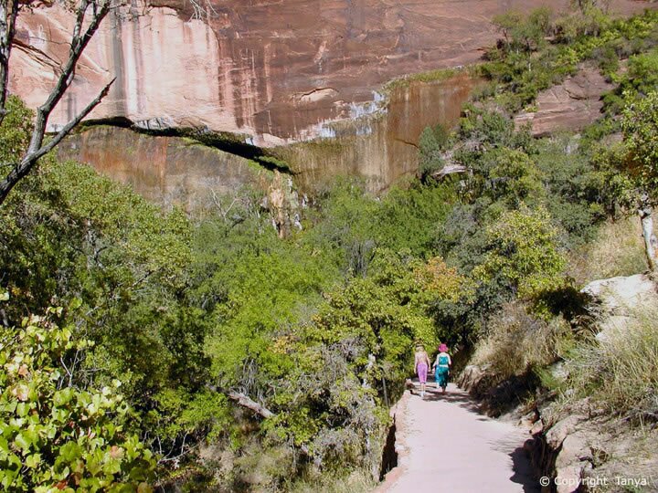 Zion - Weeping Rock