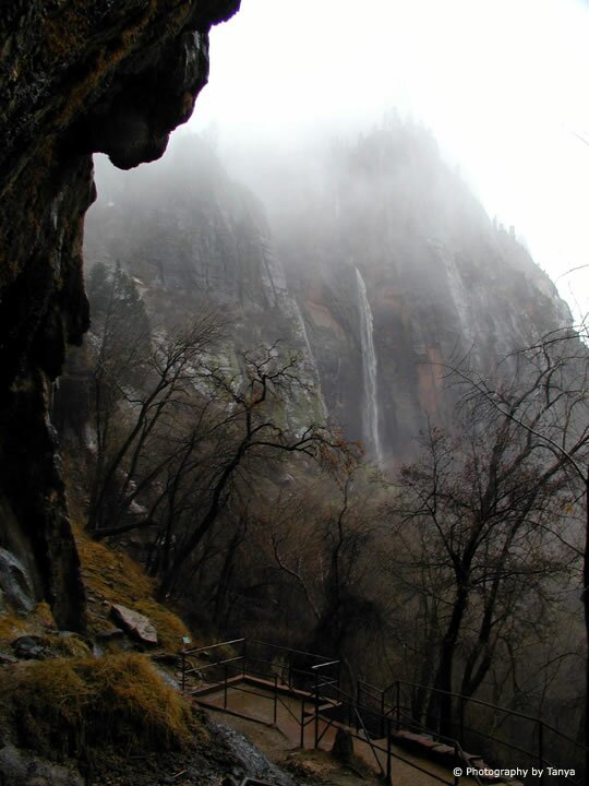 Zion Photo: Weeping Rock