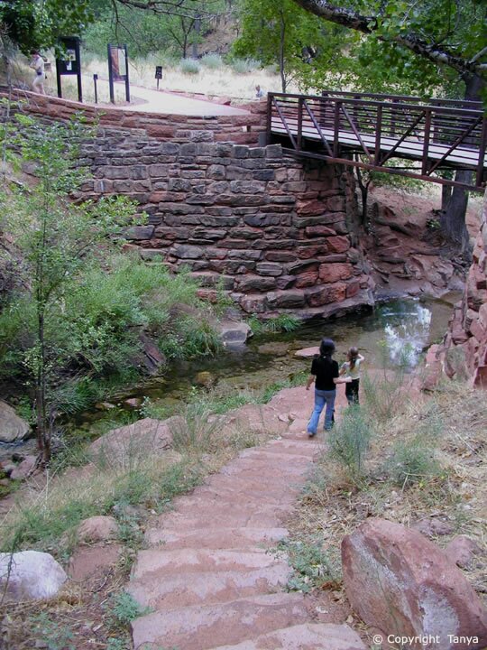Zion Picture: Weeping Rock