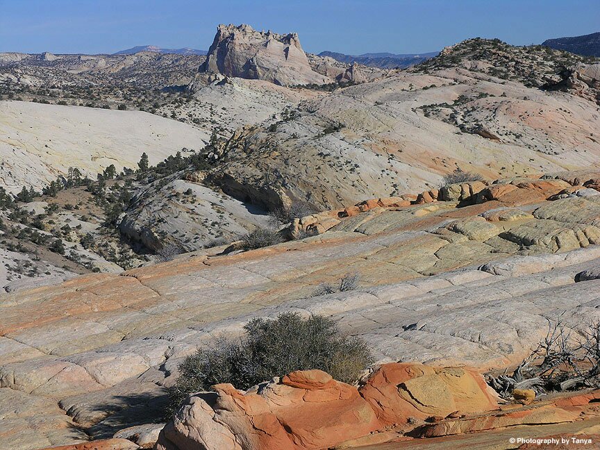 Yellow Rock pictures