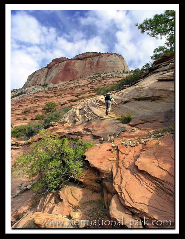 Zion National Park photo - East Temple