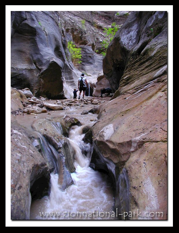 Zion National Park photo - Orderville Canyon