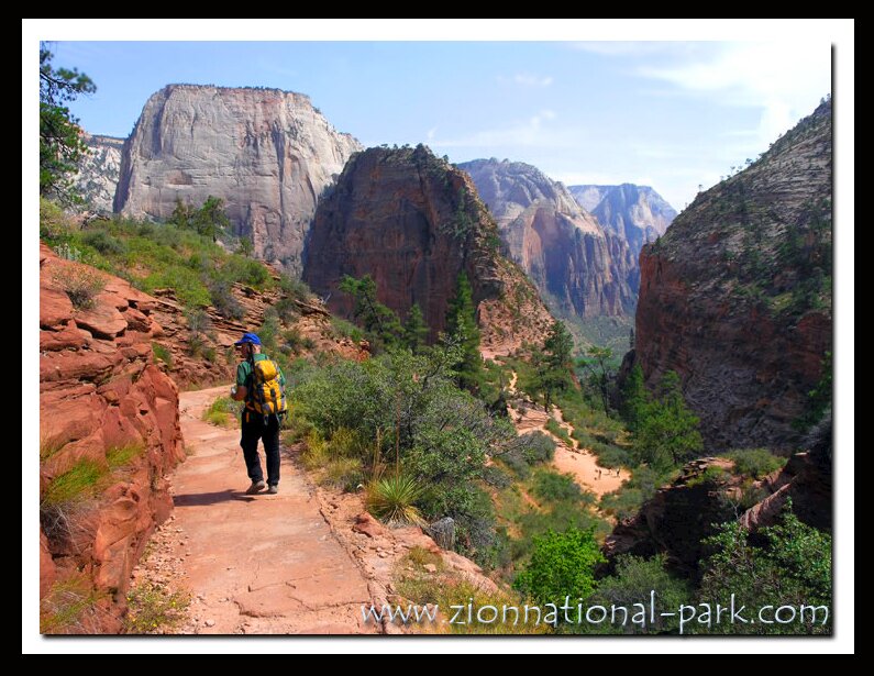 Photo Zion National Park - West Rim