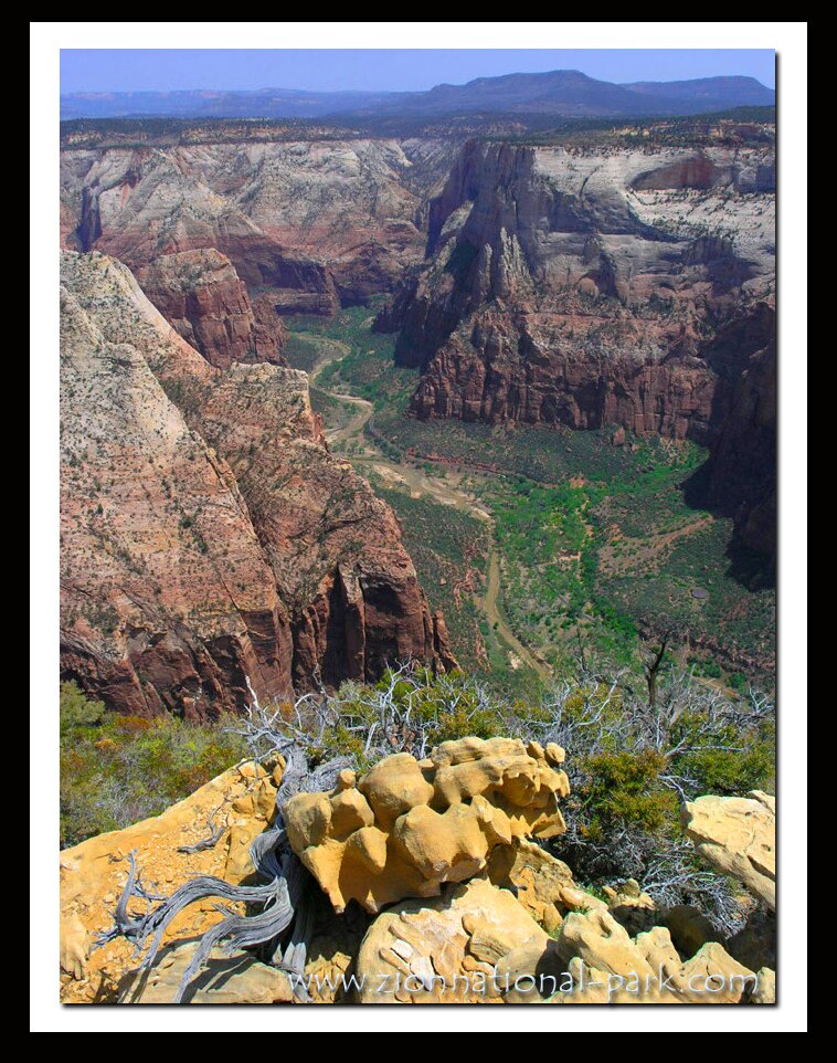 Zion Canyon photo