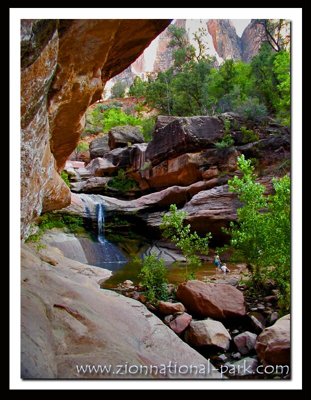 Zion National Park Photo - Pine Creek