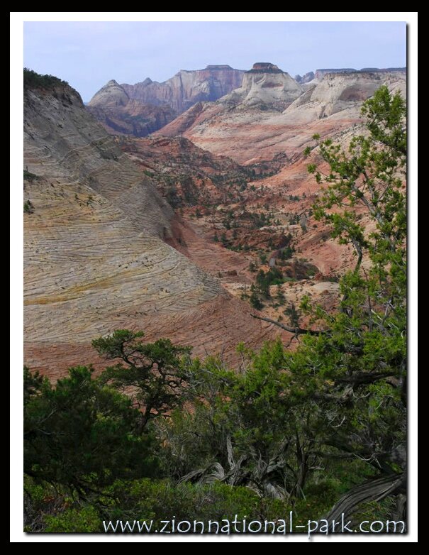 Photos Zion National Park - East Zion