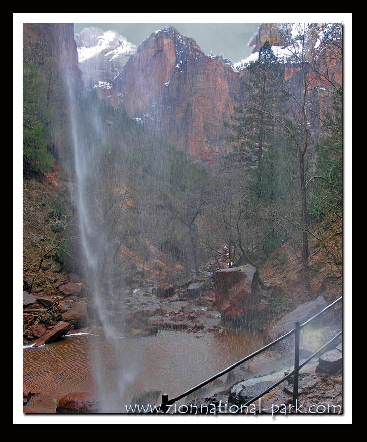 Picture Zion National Park - Emerald Pools