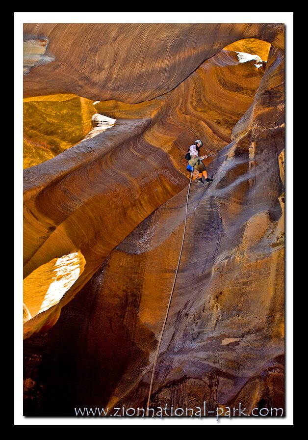 Zion National Park Picture - Pine Creek