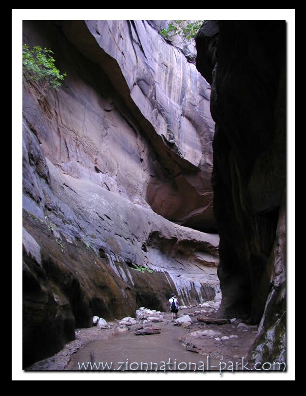 Zion Picture
