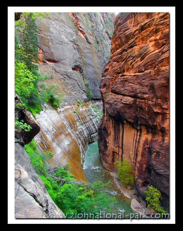 Zion Photo - Zion Narrows