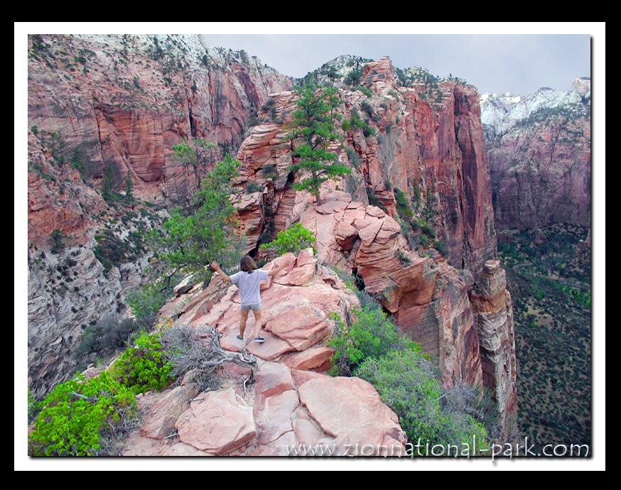 Zion Photo - Angels landing