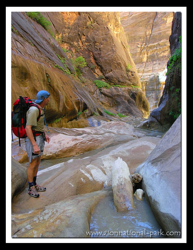 Zion Photograph - Orderville Canyon