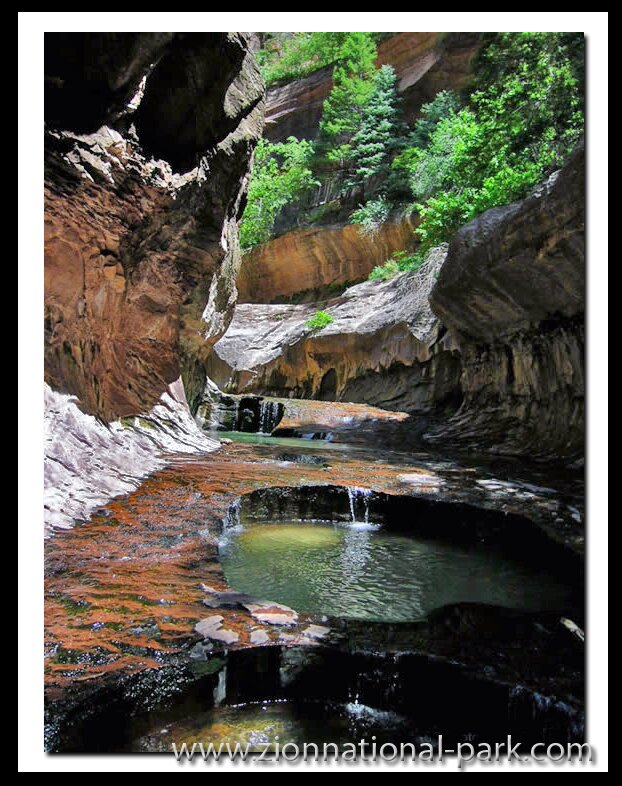 Photo: Zion's Subway