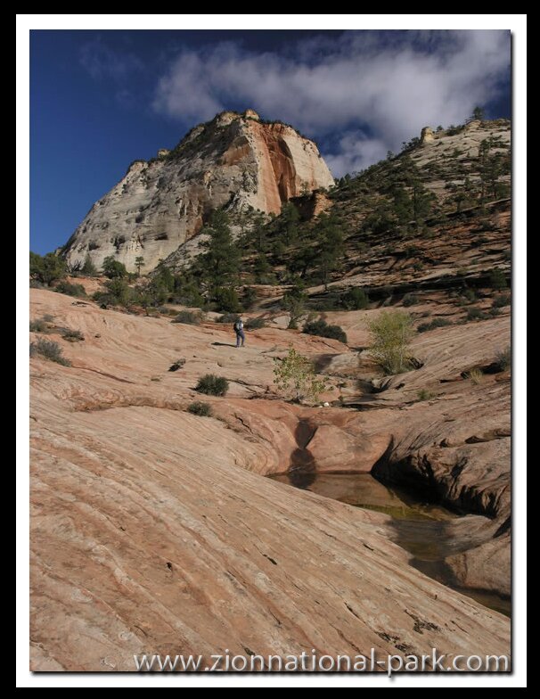 Zion National Park photo