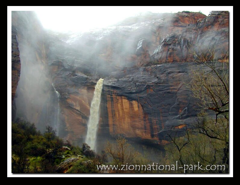 Photo: Weeping Rock