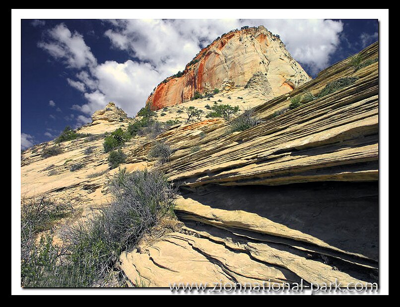 Zion Park photo