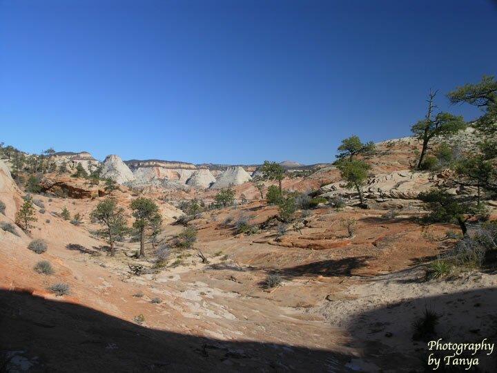 Parunuweap Pass Photo