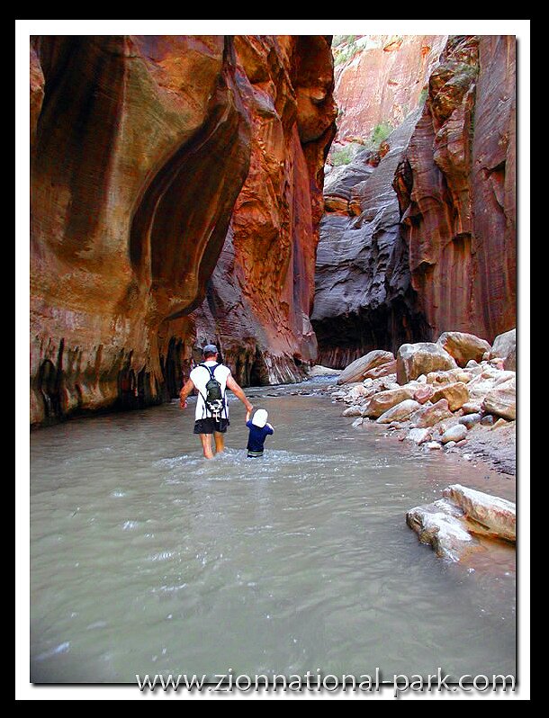 Zion Narrows photo