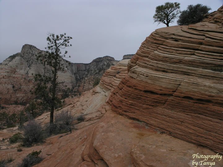 Progeny Peak Photo