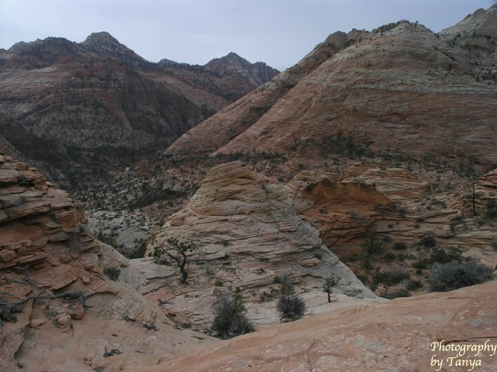 Progeny Peak Photo