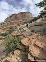 Zion National Park Picture - East Temple