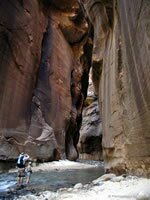 Zion National Park Picture - Zion Narrows