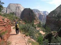 Zion National Park Picture - West Rim