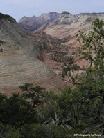 Zion National Park Picture - East Zion