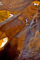 Zion National Park Picture - Pine Creek