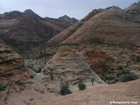 Zion National Park Picture - East Zion