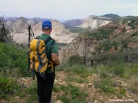 Zion National Park Picture - West Rim